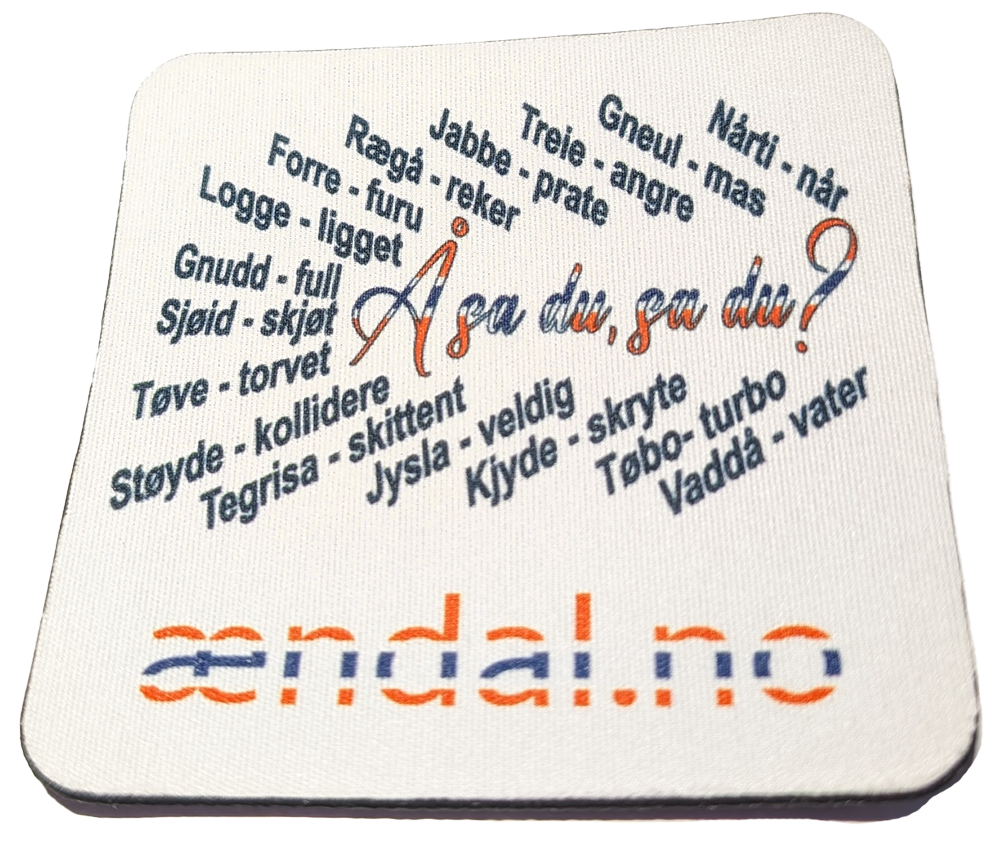 Drikkebrikke - "Å sa du, sa du?"